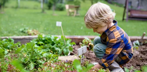 gardening child